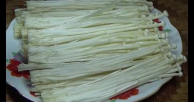 mantar sepeti üzerine