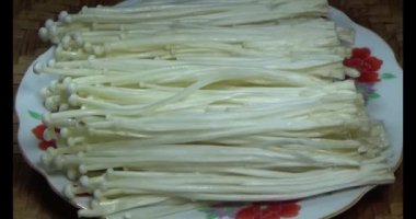 mantar sepeti üzerine