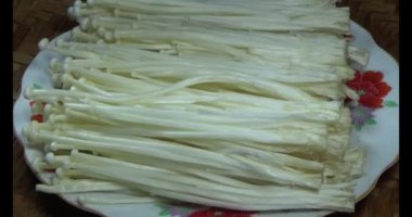 mantar sepeti üzerine