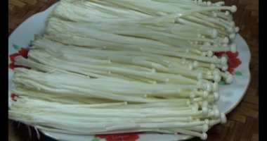 mantar sepeti üzerine