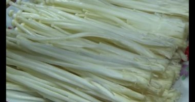 mantar sepeti üzerine