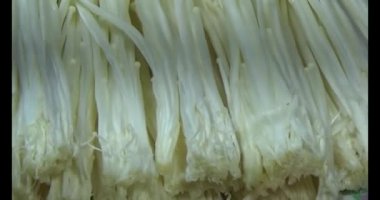 mantar sepeti üzerine