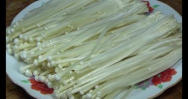 mantar sepeti üzerine