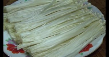 mantar sepeti üzerine