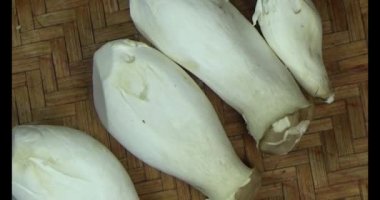mantar sepeti üzerine
