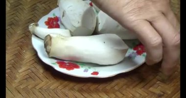 mantar sepeti üzerine