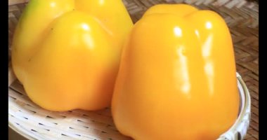 Chili plaka üzerinde