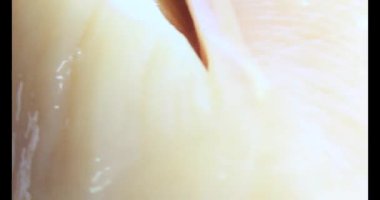 Pişirmek için tavuğu küçük parçalara ayır.