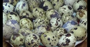 Bıldırcın yumurtası plaka üzerinde