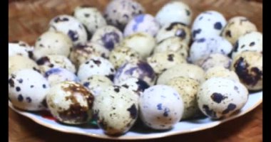 Bıldırcın yumurtası plaka üzerinde