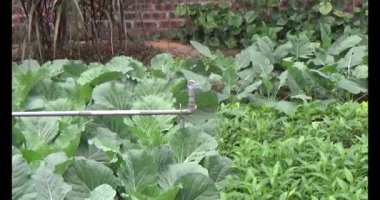 Sebze bahçesi için otomatik sulama