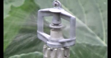 Sebze bahçesi için otomatik sulama