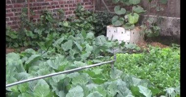 Sebze bahçesi için otomatik sulama