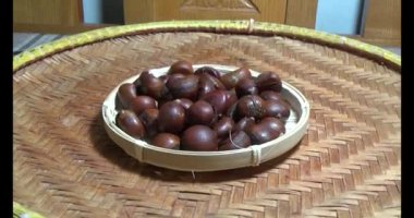 kestane plaka