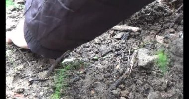 Bahçede kuşkonmaz yetiştiriyorum.