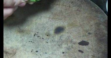 domuz bir plaka üzerinde