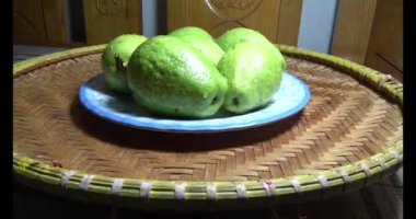 Tabakta guava var.