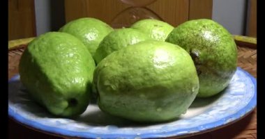 Tabakta guava var.