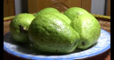 Tabakta guava var.