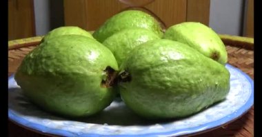 Tabakta guava var.