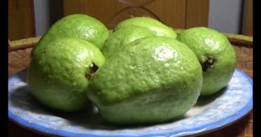 Tabakta guava var.