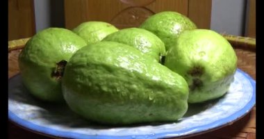 Tabakta guava var.