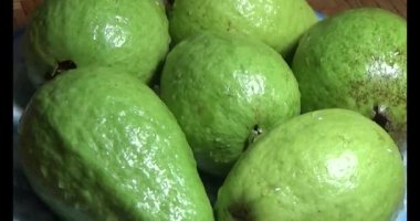 Tabakta guava var.