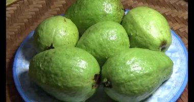 Tabakta guava var.