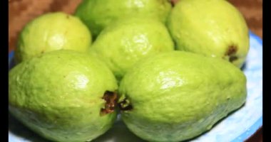 Tabakta guava var.