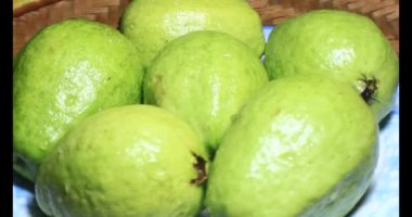 Tabakta guava var.