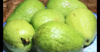 Tabakta guava var.