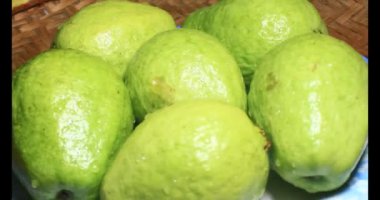 Tabakta guava var.