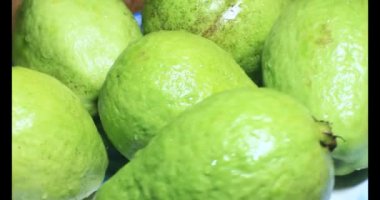 Tabakta guava var.