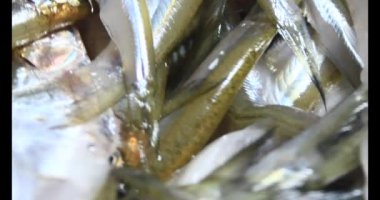 Sepette küçük balık