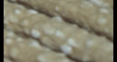 Domatesleri ve yıldız meyvelerini parçalara ayır