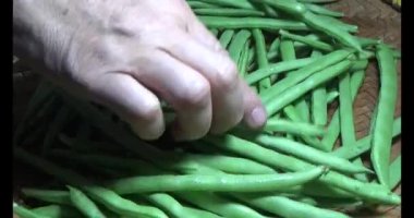 Tabaktaki bezelyeler