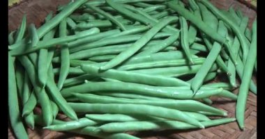 Tabaktaki bezelyeler