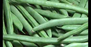 Tabaktaki bezelyeler