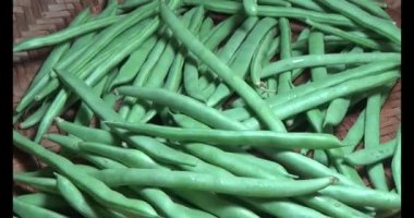 Tabaktaki bezelyeler