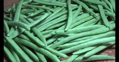 Tabaktaki bezelyeler