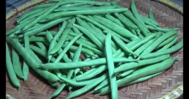 Tabaktaki bezelyeler