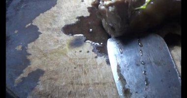 kaynamış domuz budu eti