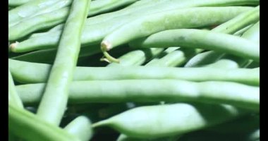 Tabaktaki bezelyeler