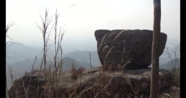 Dağda sazlar