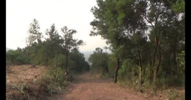 Bir grup insan dağlara ve ormanlara tırmanıyor.