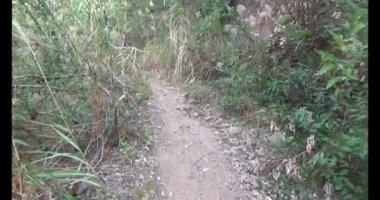 Bir grup insan dağlara ve ormanlara tırmanıyor.