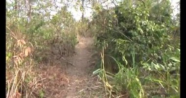 Bir grup insan dağlara ve ormanlara tırmanıyor.