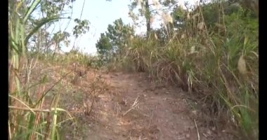 Bir grup insan dağlara ve ormanlara tırmanıyor.