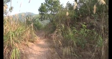 Bir grup insan dağlara ve ormanlara tırmanıyor.