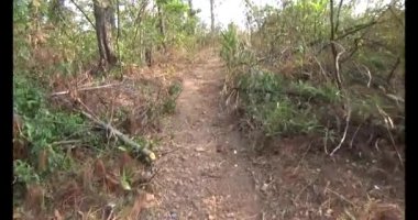 Bir grup insan dağlara ve ormanlara tırmanıyor.